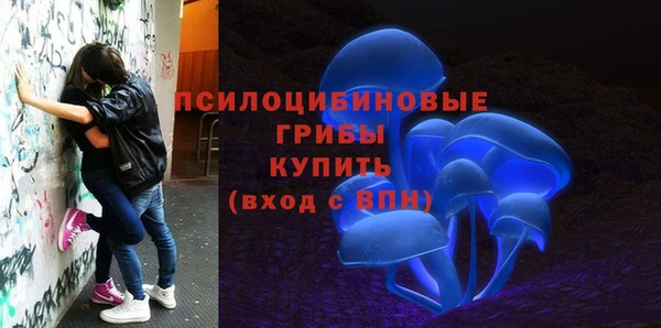 метамфетамин Алексеевка